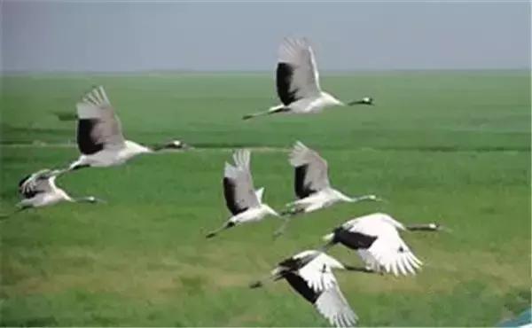 中国十大洗肺圣地,洗肺的地区有哪些