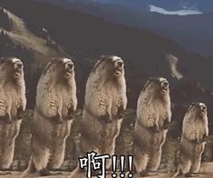 当你很纠结的时候怎么终止聊天,如何化解最尴尬的聊天