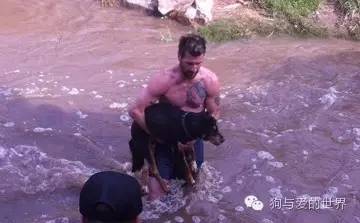 爱狗的人可爱吗 (真正爱狗的人的长相)