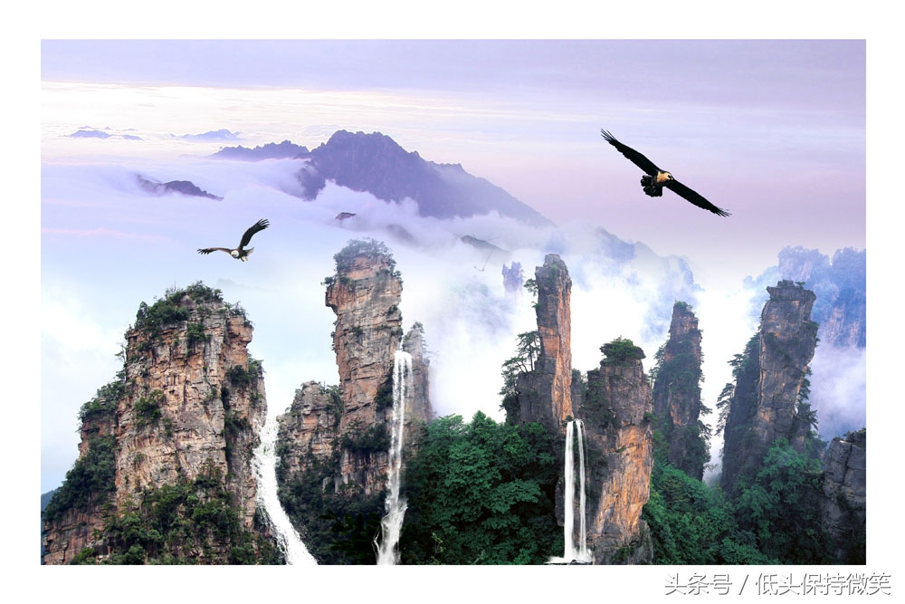 武汉到张家界自由行攻略,上海到张家界自驾游详细攻略