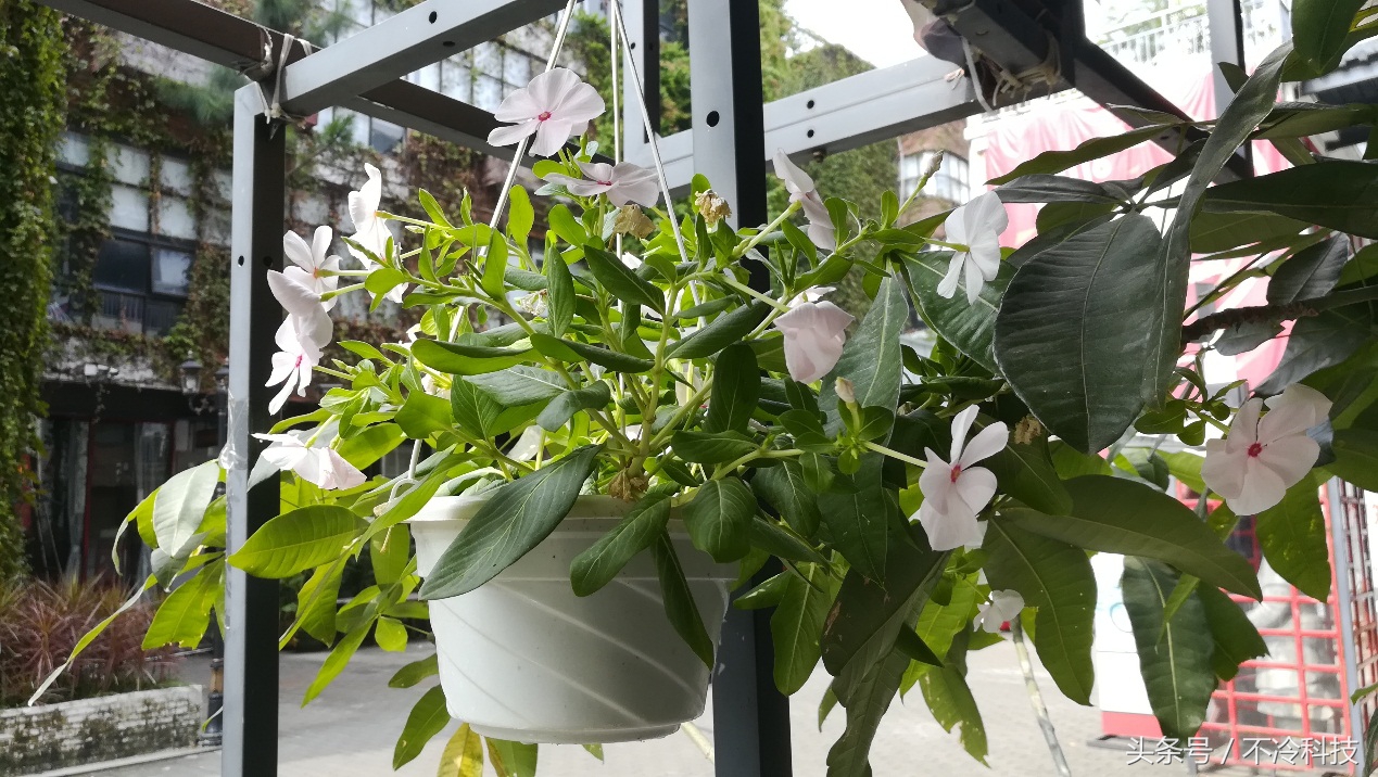 1500元手机推荐荣耀畅玩6x,荣耀6x与荣耀畅玩6x是否一样