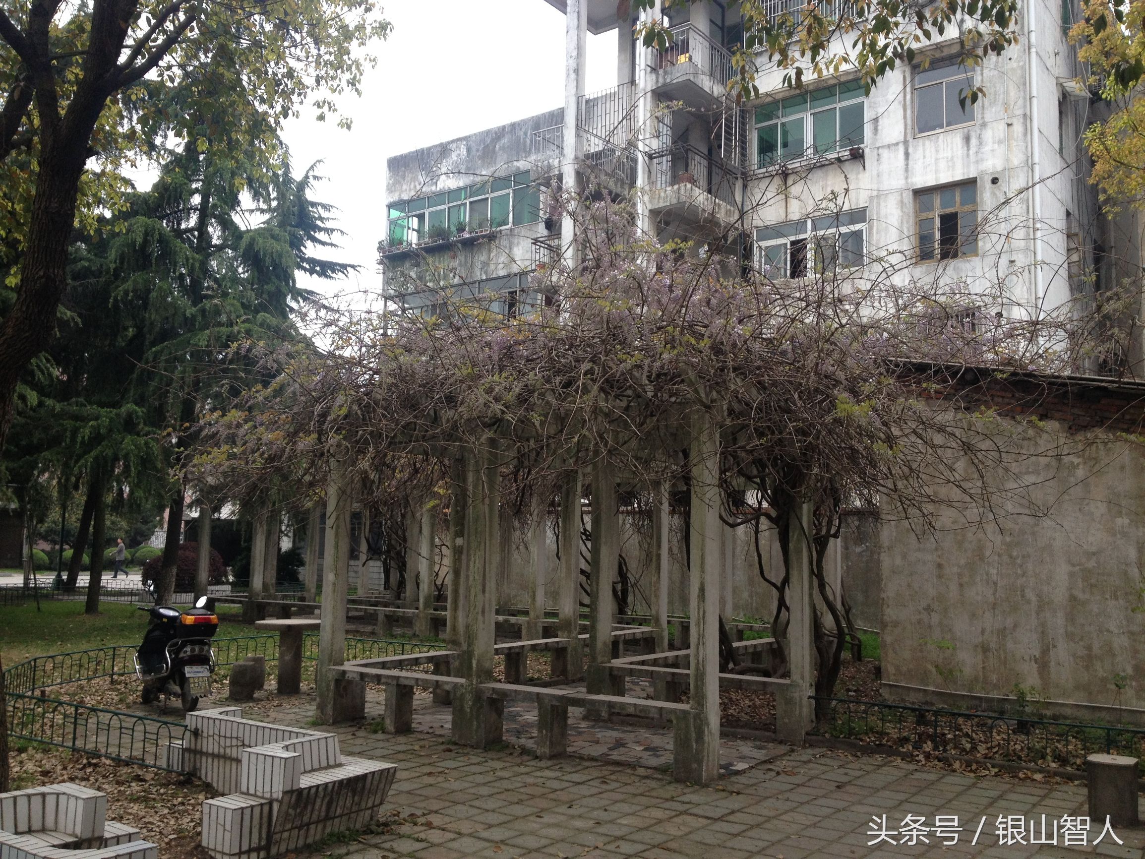 芜湖一中和无为中学哪个好,芜湖无为中学最好吗