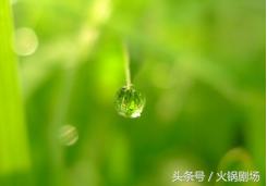 梁朝伟在这片里居然是一个抖M狂,那么问题来了,是谁在虐他