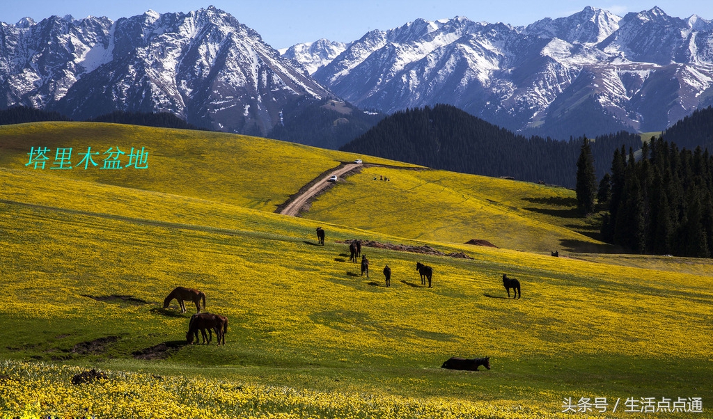 秀美中国之*疆新**