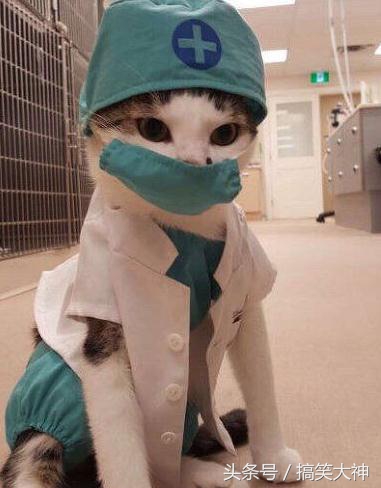 口红断了怎么修复没有冰箱,断口红修复