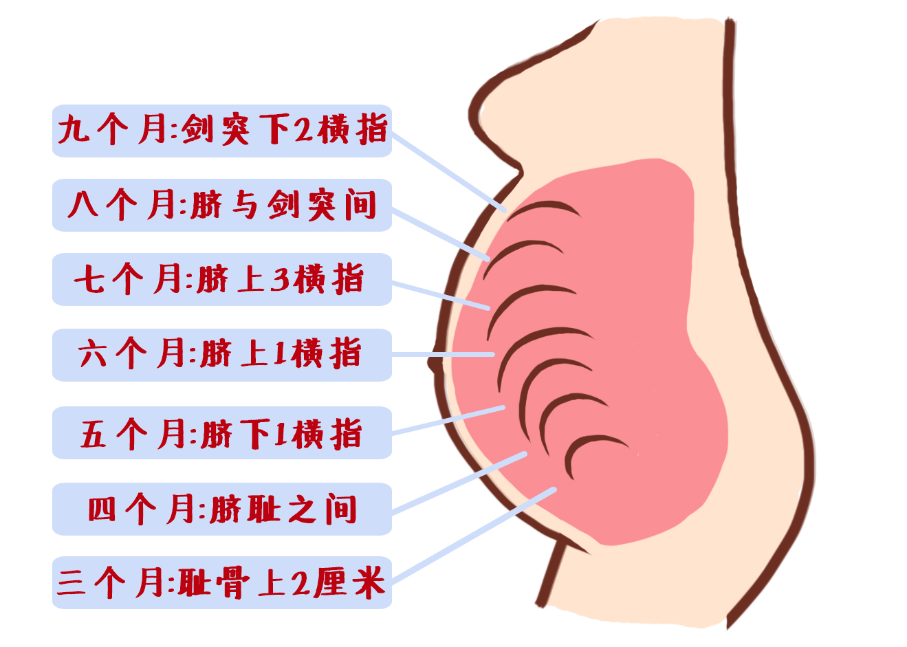 产检全过程详细讲解 (最全产检时间表新手妈妈必收藏)