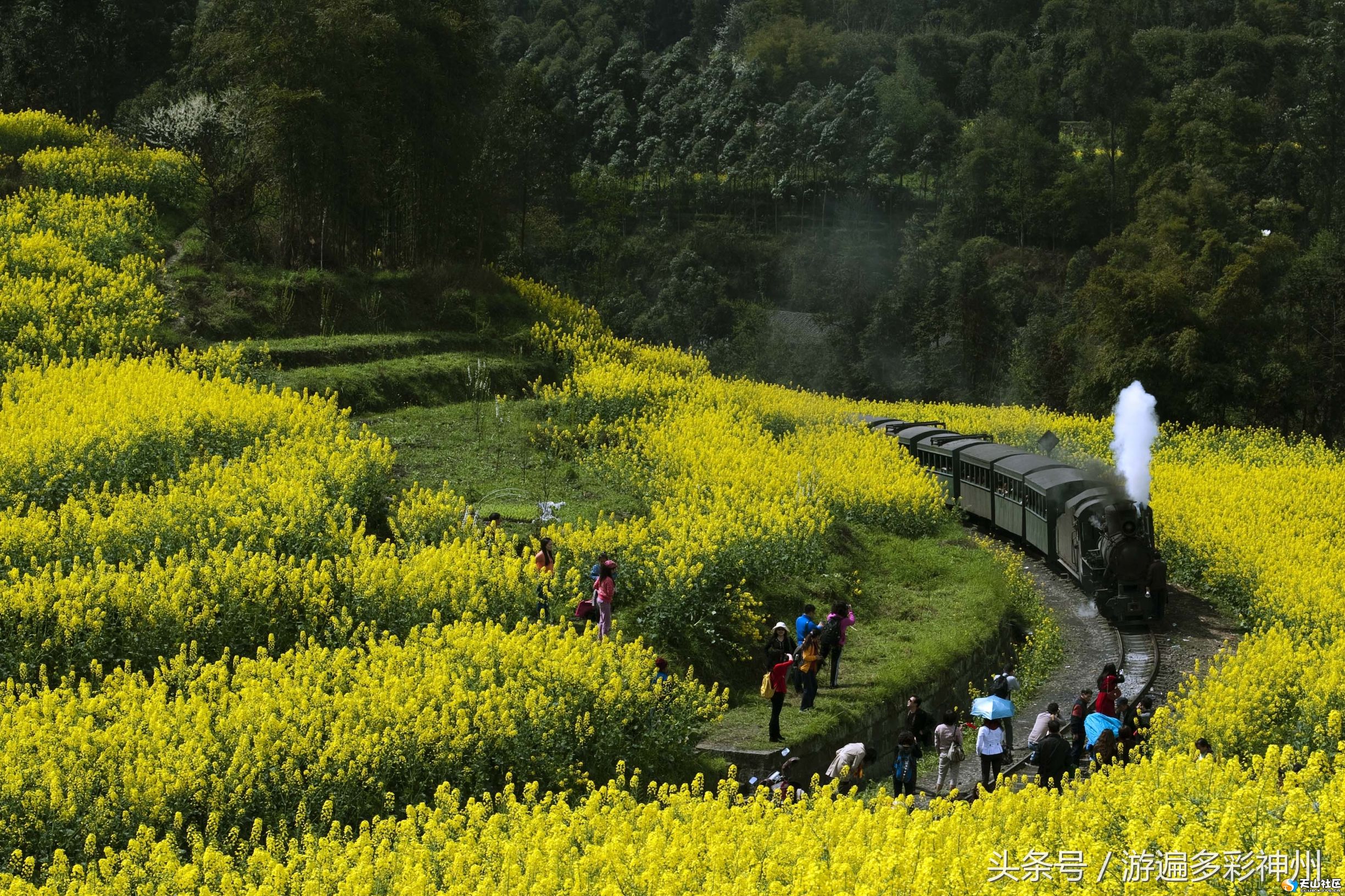 浜氭床娴锋,棣欏浗娴锋