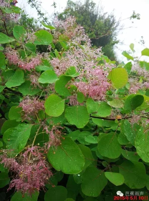 红晕初染看太行（徒步笔记19）——辉县薄壁流水沟穿越