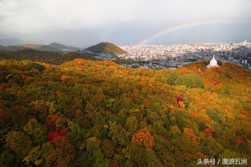 日本赏樱的最佳时间,日本赏枫最佳方法