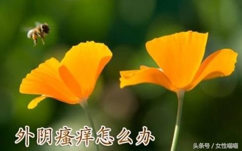 女人要当心身体发出这些异常信号,疾病告诉我们什么