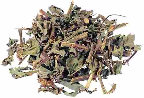 鍒濆啲绮炬补娉℃尽,鍒濆啲娉℃尽鍏荤敓