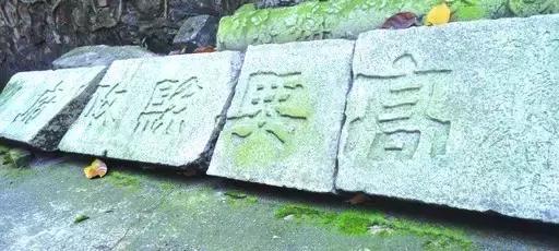 广东肇庆今日发生什么事情了,广东肇庆今日发生什么事