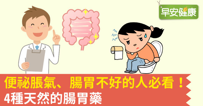 肠胃热便秘吃什么药 (便秘肠胃不好有什么中成药)