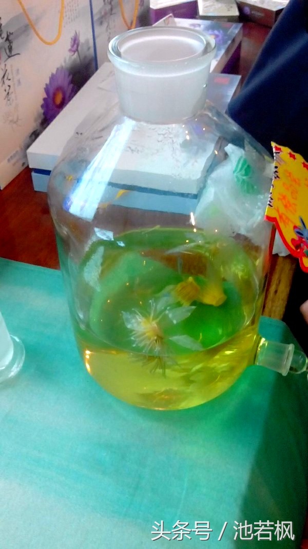 青岛，女汉子和小清新提前过端午