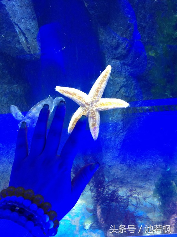 青岛,女汉子和小清新提前过端午