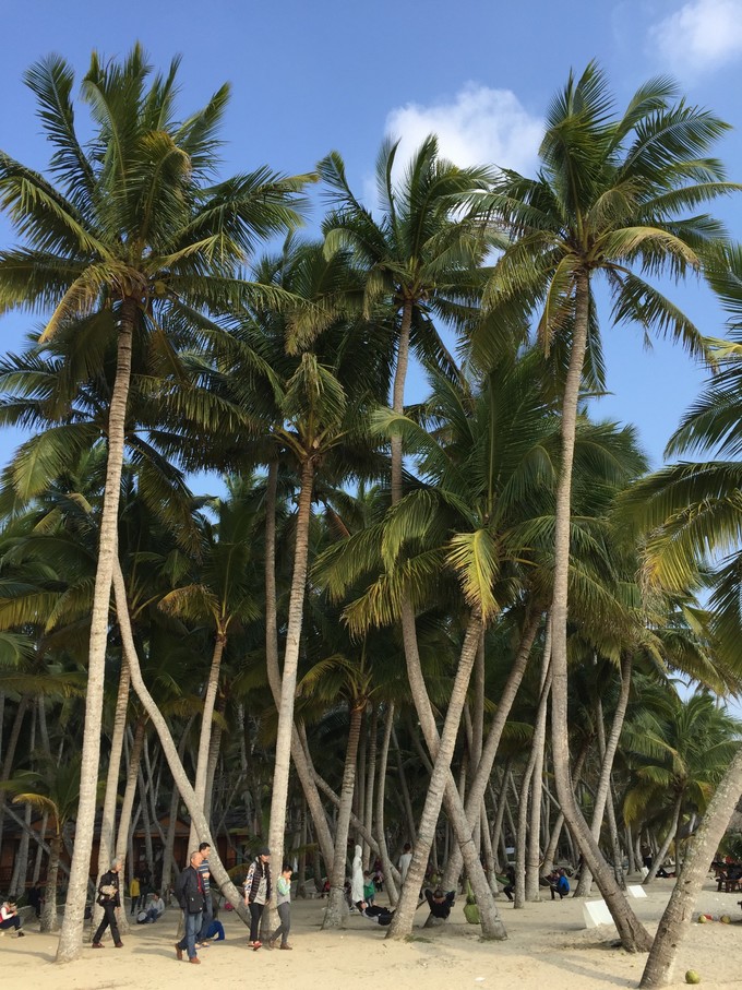 我的第一次出行视频,我的第一次不间断骑行100公里