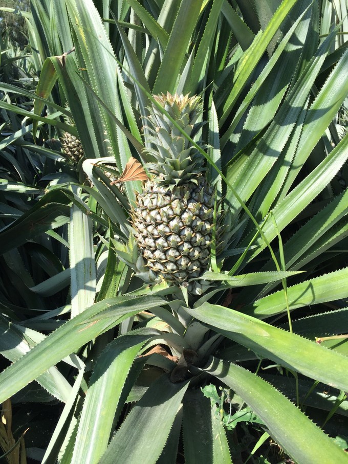 我的第一次出行视频,我的第一次不间断骑行100公里