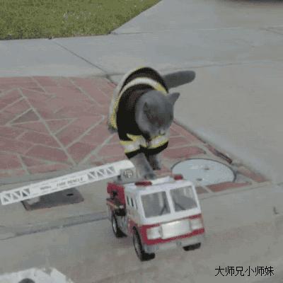 大师兄小师妹：你男友那方面怎么样啊？