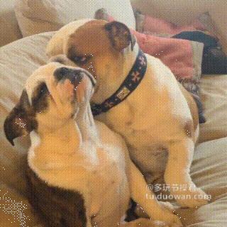 萌妹子搞笑动态图,小女孩萌萌的搞笑动态图