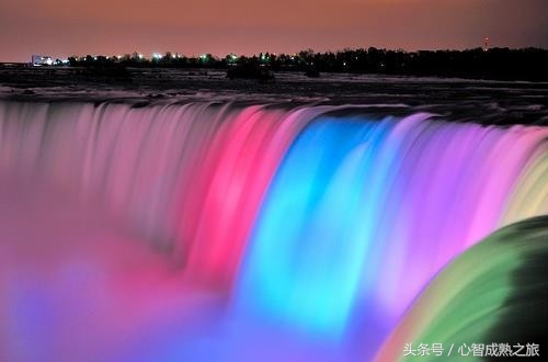 小二，来一碗毒鸡汤（你敢喝吗？）