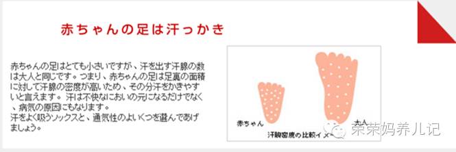 mikihouse的获奖款,mikihouse哪款鞋子比较薄