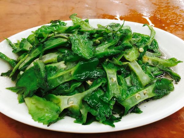 我的第一次出行视频,我的第一次不间断骑行100公里