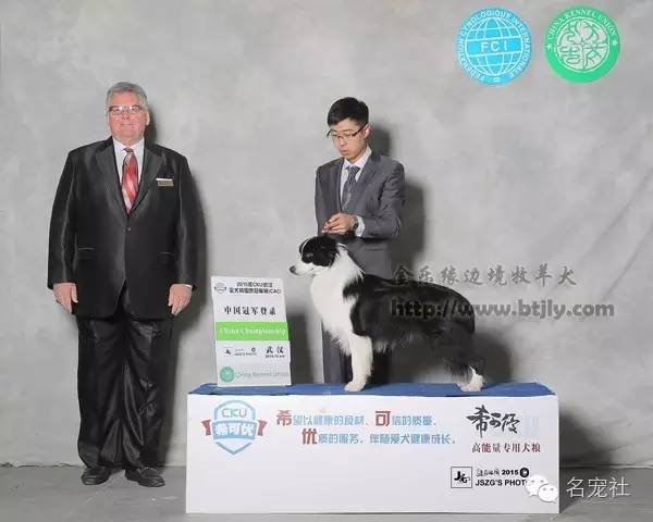 巴西淘淘老年犬,巴西淘淘幼犬狗粮