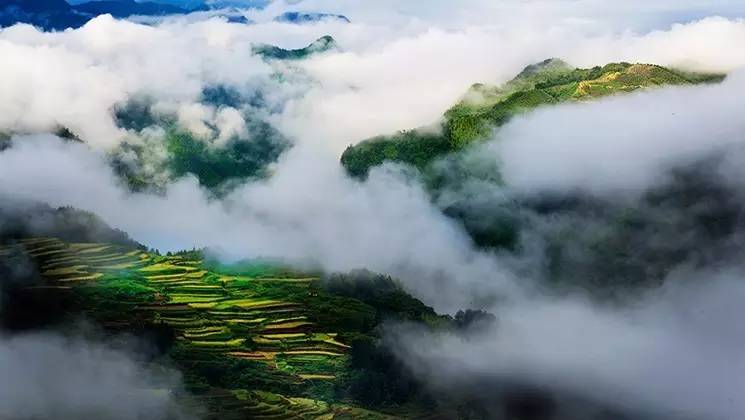 比起诗和远方我更喜欢有你的地方,这辈子总要去一趟丽水