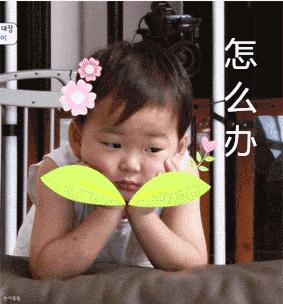 这些养生伴手礼真的适合长辈吗,这些新颖的伴手礼