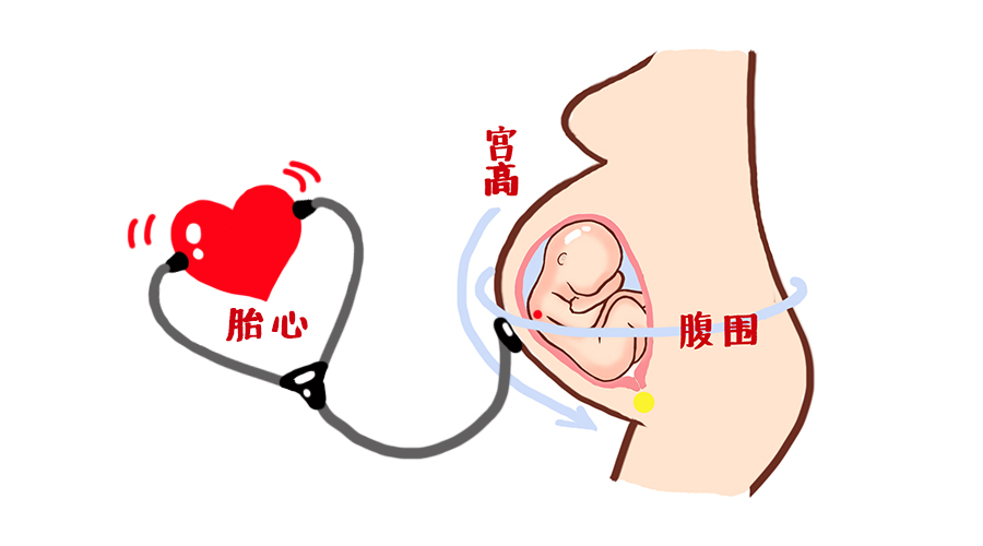 产检全过程详细讲解 (最全产检时间表新手妈妈必收藏)