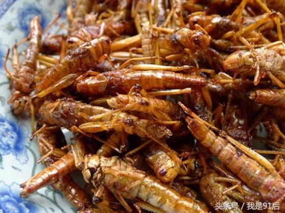 越南恶心的虫子大餐,广东人常吃的虫子