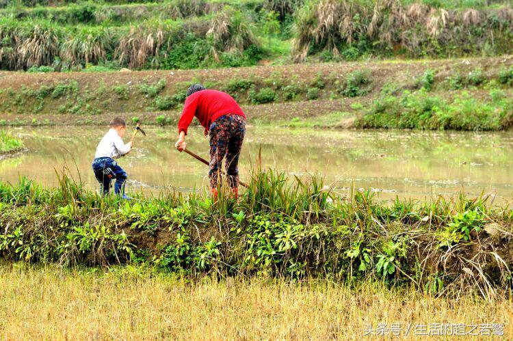 我的家乡崇阳市,家乡美我的故乡原唱