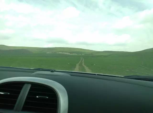 自驾川西带金毛,长途自驾带金毛