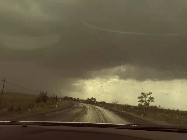 自驾川西带金毛,长途自驾带金毛