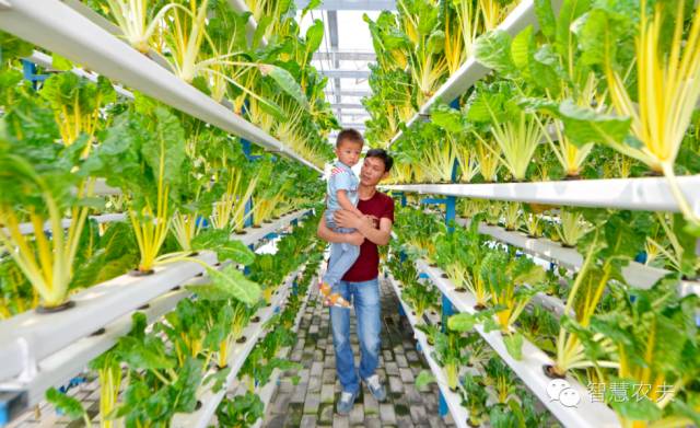 生态餐厅大棚用地,生态餐厅温室大棚配套设施