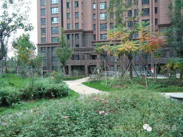 木子跑盘第三期:首尔甜城(上)