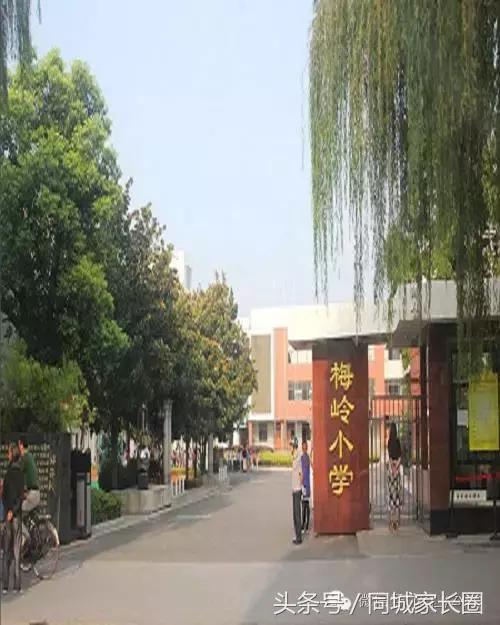 扬州育才小学和扬州梅岭小学,汶河小学和梅岭哪个好