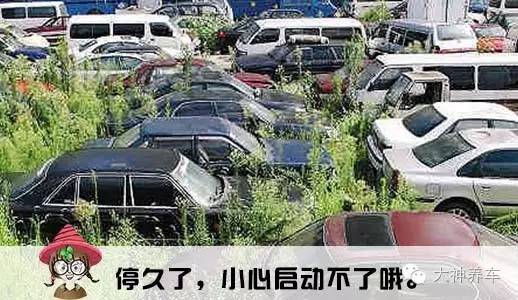 车是拿来用的不是拿来供着的,买了车必要花费