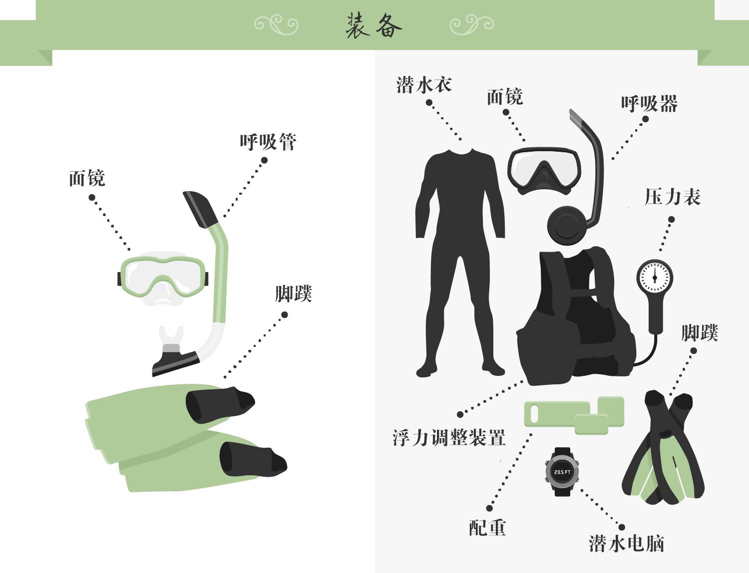 浮潜后可以水肺潜水吗,浮潜水肺潜水自由潜区别