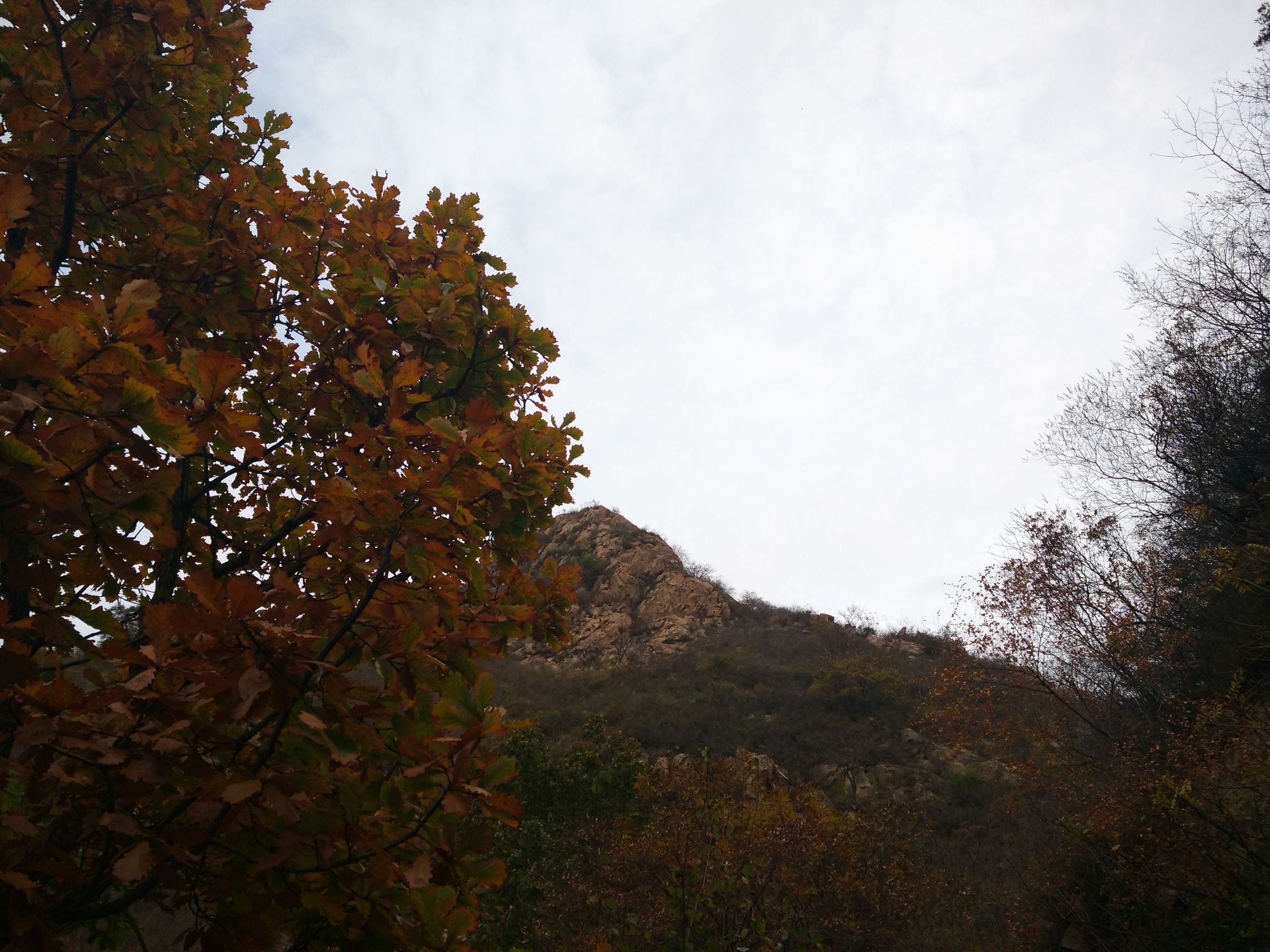 望峪山庄一日游攻略,望峪山