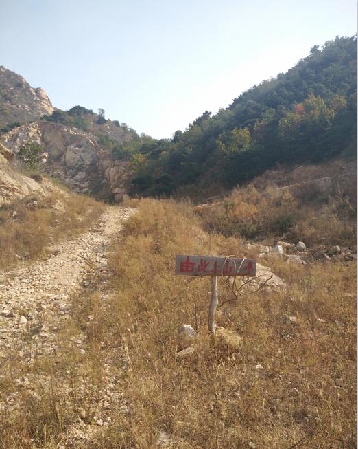 望峪山庄一日游攻略,望峪山