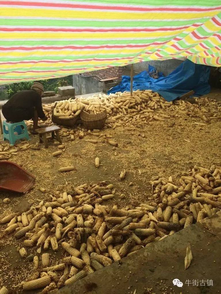 牛街自述,看完再也不嫌弃你了~~~