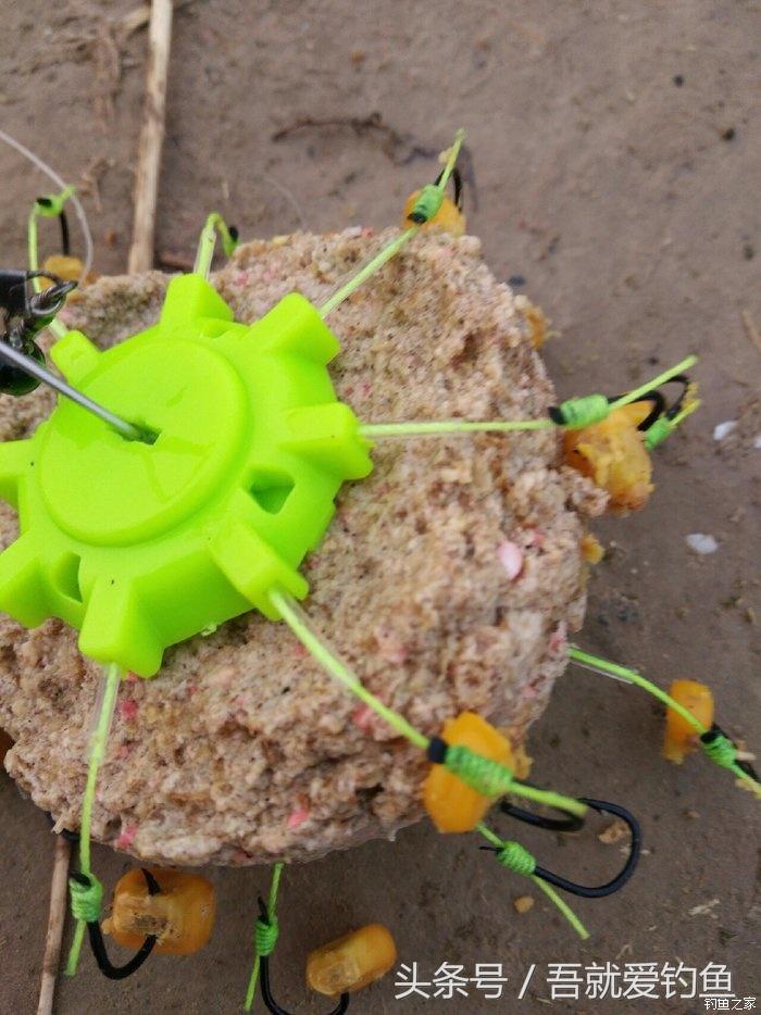 假休十月翻板初试失利恶犬护塘渔获数爆炸饵