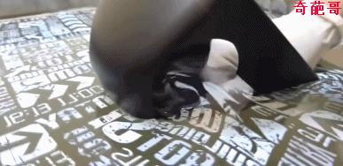 水转印技术——让平凡瞬间升华！