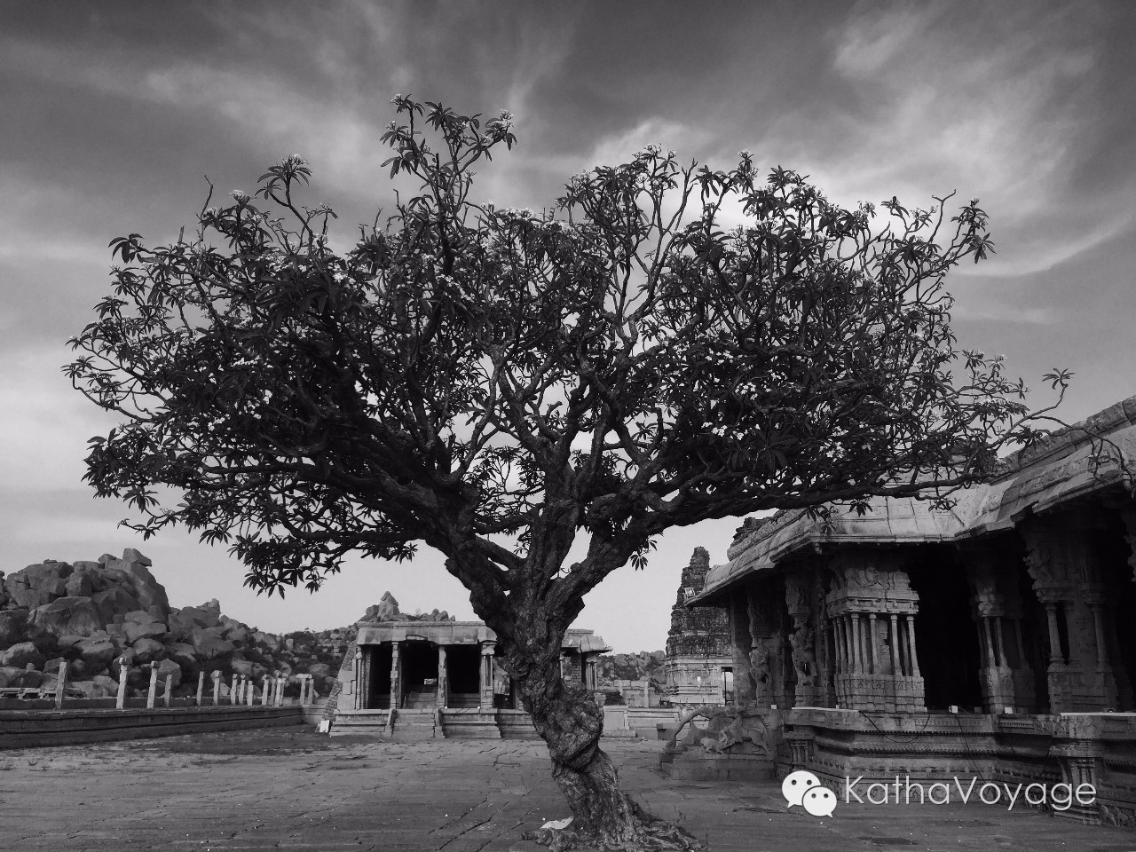 辞职去旅行会厌倦吗,你羡慕辞职旅行吗