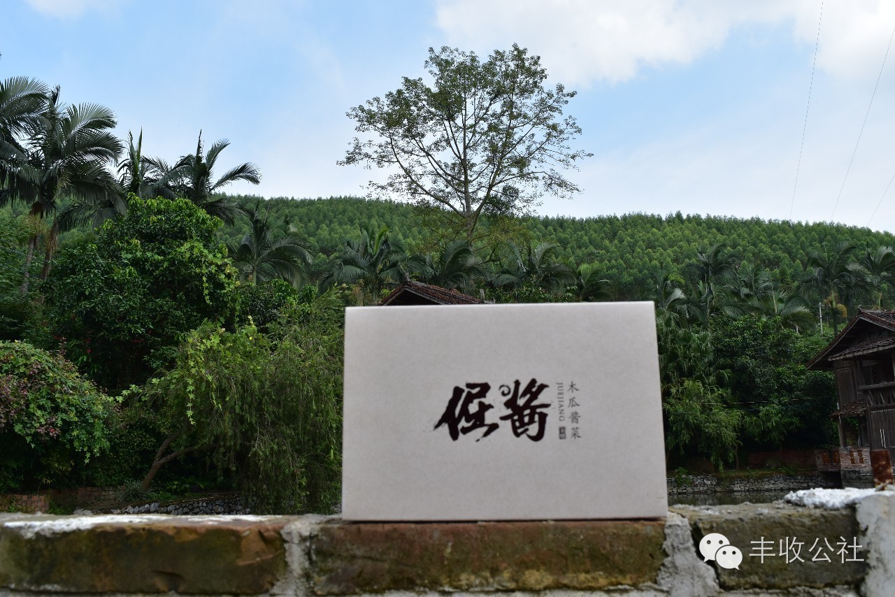 丰收故事我来讲简短,我的丰收故事