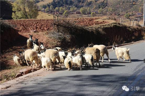 幻速s3l进川藏,幻速s3能去西藏吗
