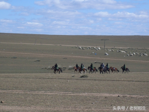 内蒙希拉穆仁草原风景视频,希拉穆仁大草原和内蒙古大草原