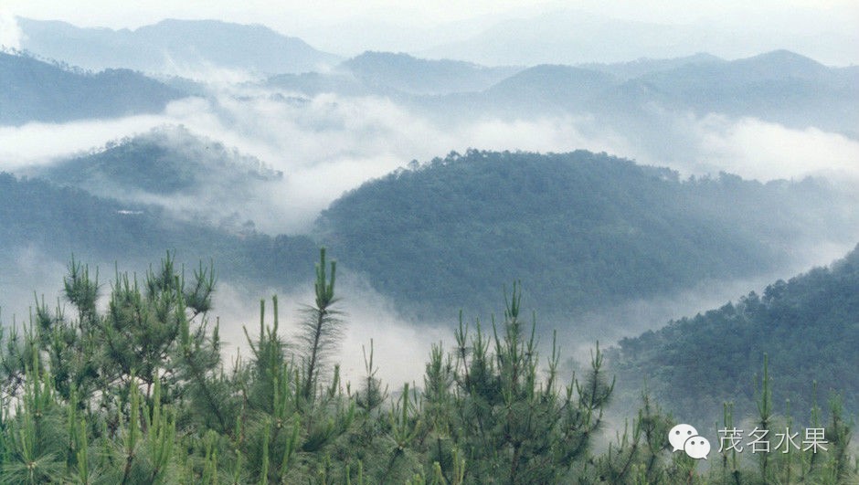 秋天如约而至,秋天如期到来