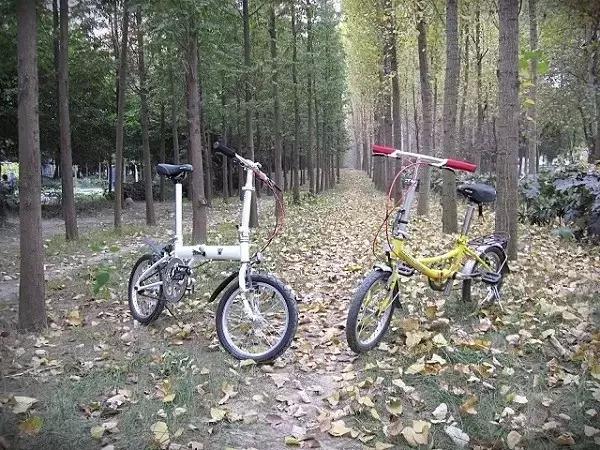 秋天就该送自己一场旅行，苏州最全“采橘攻略”先给你！